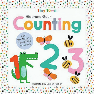 Hide-and-Seek Counting (IT)